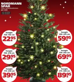 Ranzijn NORDMANN SPAR ABIES NORDMANNIANA aanbieding