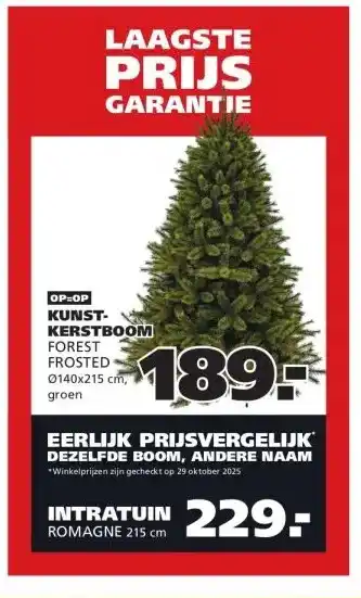 Ranzijn KUNST- KERSTBOOM FOREST FROSTED aanbieding