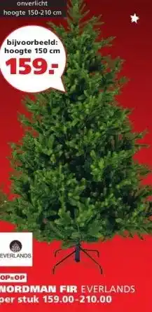 Ranzijn NORDMAN FIR EVERLANDS aanbieding