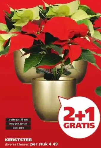 Ranzijn KERSTSTER aanbieding