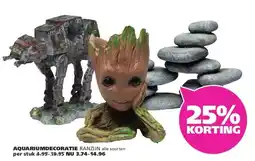 Ranzijn AQUARIUMDECORATIE RANZIJN aanbieding