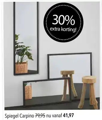Pronto wonen Spiegel Carpino aanbieding