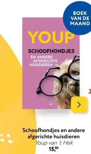 Primera Schoofhondjes en andere afgerichte huisdieren aanbieding
