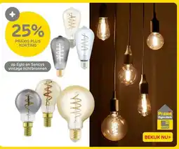 Praxis Eglo en Sencys vintage lichtbronnen aanbieding