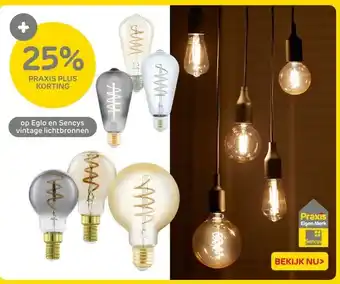 Praxis Eglo en Sencys vintage lichtbronnen aanbieding