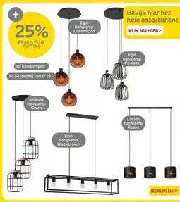 Praxis hanglampen aanbieding