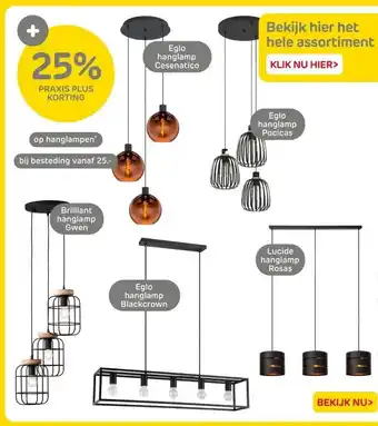 Praxis hanglampen aanbieding