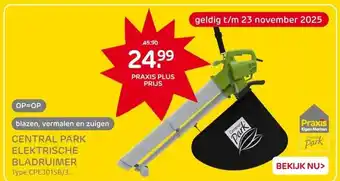 Praxis Central Park Elektrische Bladblazer- aanbieding