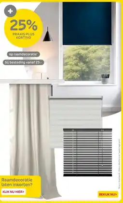 Praxis raamdecoratie aanbieding