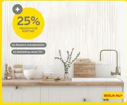 Praxis Maestro wandpanelen aanbieding
