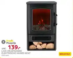 Praxis Livn vrijstaande haard Kent aanbieding