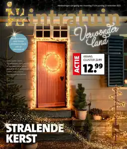 Intratuin Krans cluster aanbieding