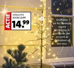 Intratuin Verlichte boom aanbieding