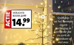 Intratuin Verlichte boom. aanbieding