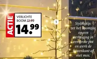Intratuin Verlichte boom. aanbieding