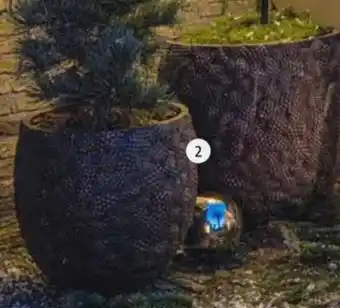 Intratuin Pot dennenappel aanbieding