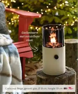 Intratuin Cosiscoop aanbieding