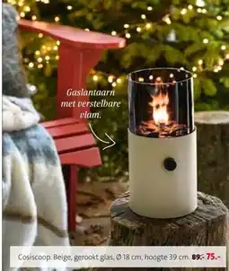 Intratuin Cosiscoop. aanbieding