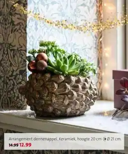 Intratuin Arrangement dennenappel aanbieding