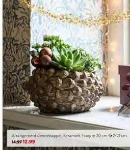 Intratuin Arrangement dennenappel. Keramiek, aanbieding