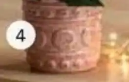 Intratuin Pot Sen aanbieding