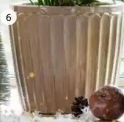 Intratuin Pot Vajen aanbieding