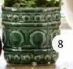 Intratuin Pot Sen aanbieding