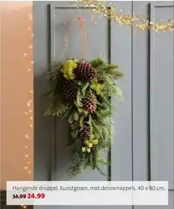 Intratuin Hangende druppel aanbieding