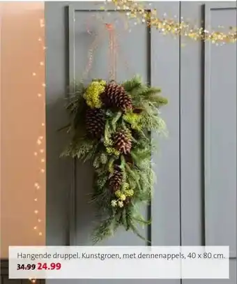 Intratuin Hangende druppel aanbieding