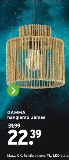 GAMMA GAMMA hanglamp James aanbieding