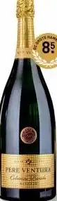 Gall & Gall Pere Ventura Colleccion Privada Brut Magnum 150CL aanbieding