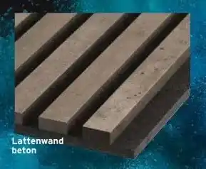 GAMMA Lattenwand beton aanbieding