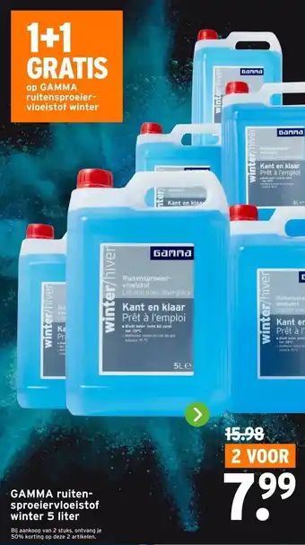 GAMMA GAMMA ruiten- sproeiervloeistof winter aanbieding