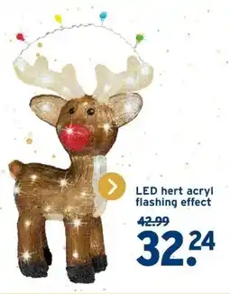 GAMMA LED hert acryl flashing effect aanbieding