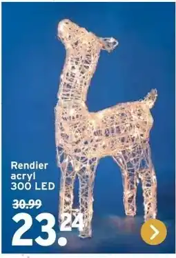 GAMMA Rendier acryl aanbieding