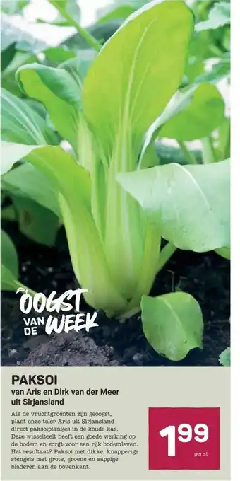 Ekoplaza PAKSOI van Aris en Dirk van der Meer uit Sirjansland aanbieding