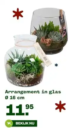 Welkoop Arrangement in glas aanbieding