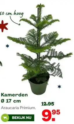 Welkoop Kamerden Ø 17 cm aanbieding