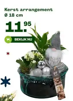 Welkoop Kerst arrangement aanbieding