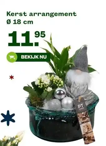 Welkoop Kerst arrangement aanbieding