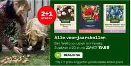Welkoop Alle voorjaarsbollen aanbieding