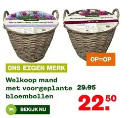 Welkoop Welkoop mand met voorgeplante bloembollen aanbieding