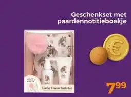 Trekpleister Geschenkset met paardennotitieboekje aanbieding
