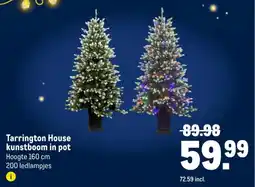 Makro Tarrington House kunstboom in pot aanbieding