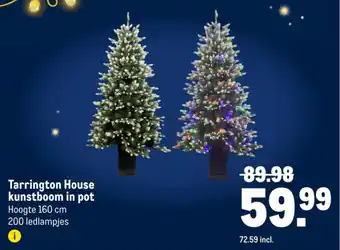 Makro Tarrington House kunstboom in pot aanbieding