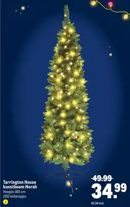 Makro Tarrington House kunstboom Norah aanbieding