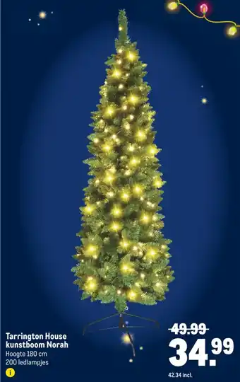 Makro Tarrington House kunstboom Norah aanbieding