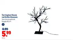 Makro Tarrington House verlichte bloesem aanbieding