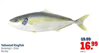 Makro Yellowtail Kingfish aanbieding