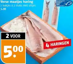 Poiesz Verse maatjes haring aanbieding